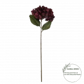 Hortensia Mørkerød 18071