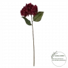 Hortensia Rød 18072