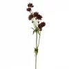 Stjerneblomst 4534-85