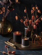 gallery-7593-for-918478