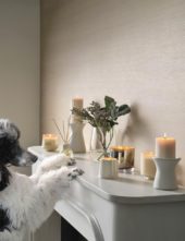 gallery-7596-for-918484