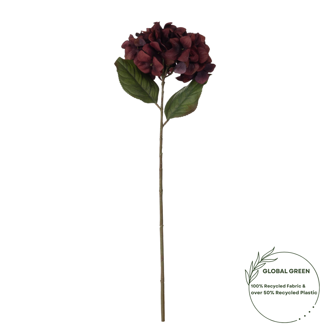 Hortensia Mørkerød 18071