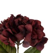 gallery-7653-for-918543