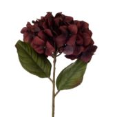 gallery-7652-for-918543