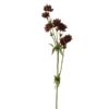 Stjerneblomst 4534-85