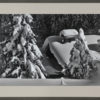 Photo Montagne Cl023
