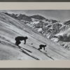 Photo Montagne Cl025