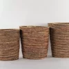 Sweetcorn Basket M 33443