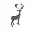Dear Evak I 2200100433