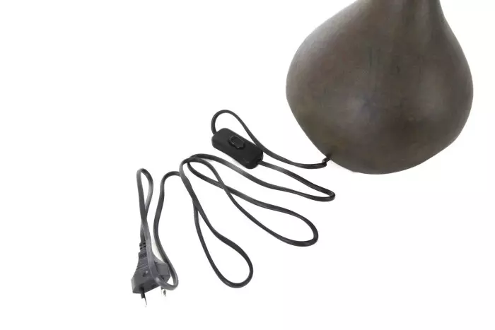 gallery-8198-for-918884