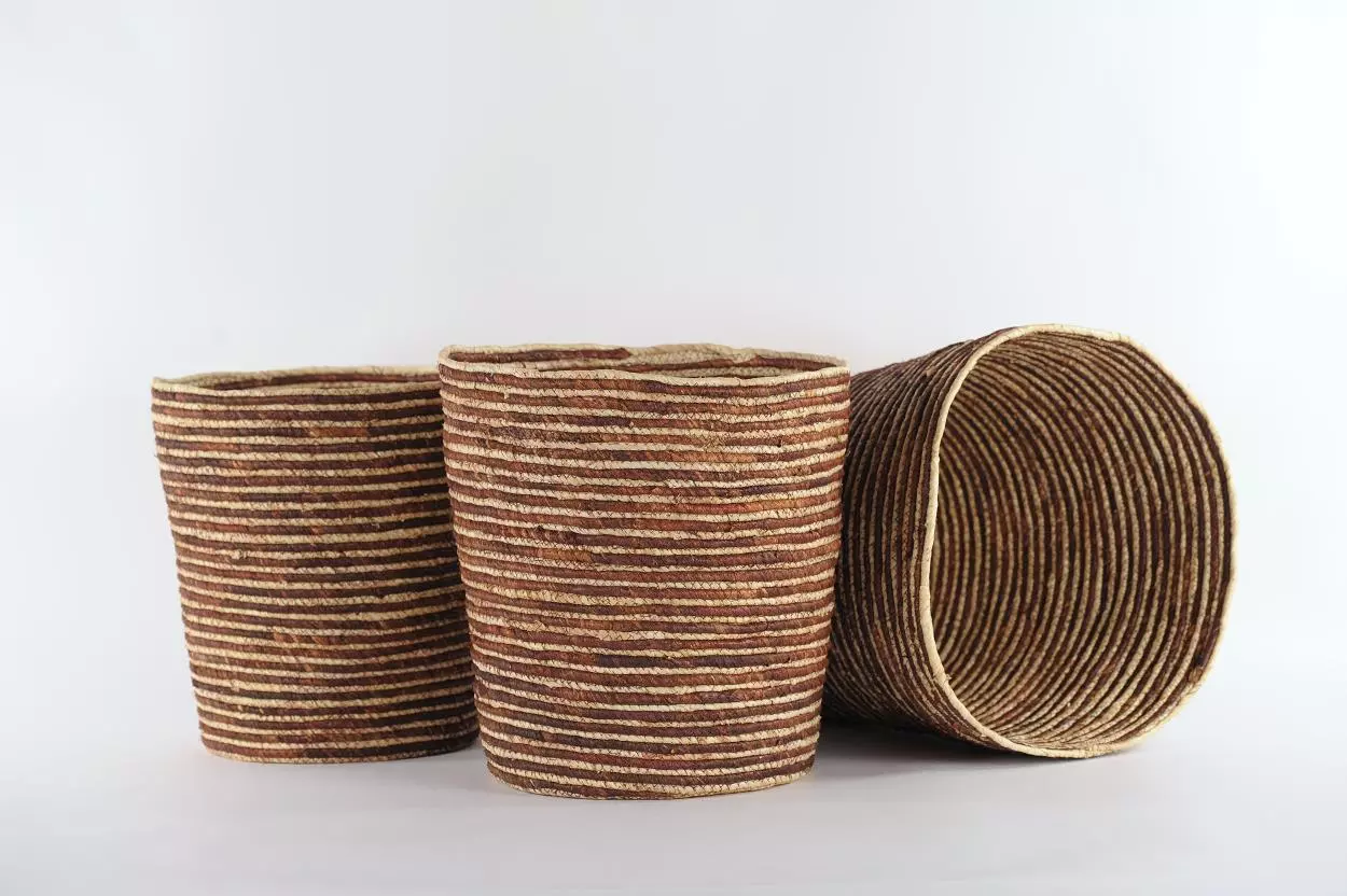 gallery-8236-for-918821