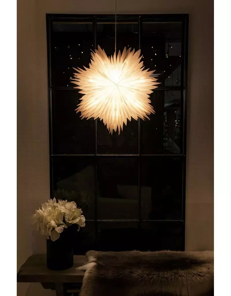 gallery-8288-for-919132