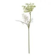 Vill Gulrot 4875-90