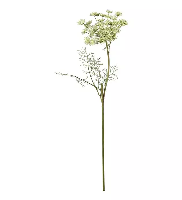 Vill Gulrot 4875-90