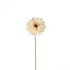 Gerbera 4522-11
