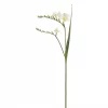 Fresia 4959-10