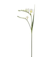 Fresia 4959-10
