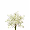 Aparanthus 4944-91