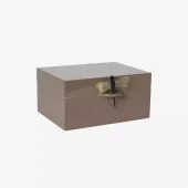 Dragonfly box XL Earth Lass2614