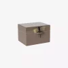 Dragonfly Box B Earth Lass2609
