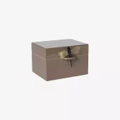 Dragonfly Box B Earth Lass2609