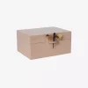 Dragonfly Box XL Skin Lass2612