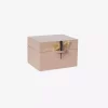 Dragonfly Box B Skin Lass2602