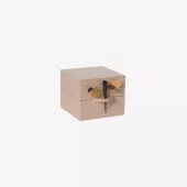 Dragonfly Box S Skin Lass2602