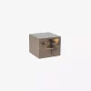 Box Dragonfly s Earth Lass2604