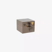 Box Dragonfly s Earth Lass2604