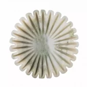 gallery-8886-for-919644