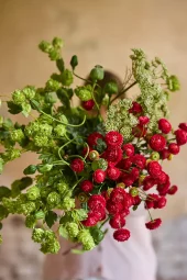 gallery-8908-for-919629