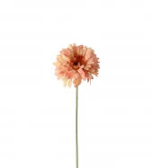 Gerbera 4522-32