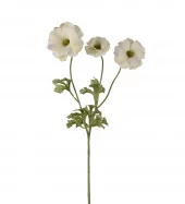 Sommerfugl Ranunkel 4673-91