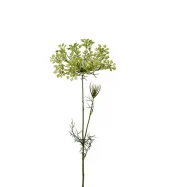 Allium 9671-90