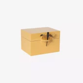 Box Dragonfly B Sun Lass2608