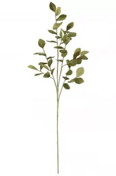 Branch Leaves Eva Green 30xh132cm 51671