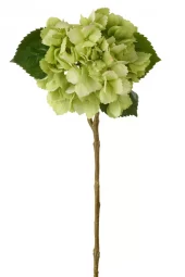 Hortensia Real Touch Green 63798
