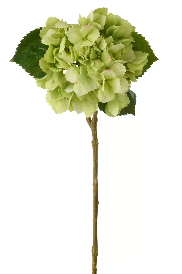 Hortensia Real Touch Green 63798