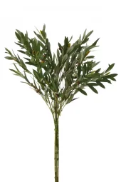 Olivebranch Bundle 90x30cm 64431