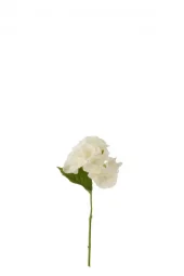 Hortensia White 28x13x7cm 64432