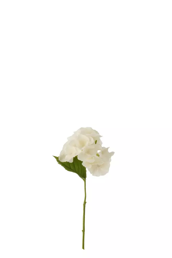 Hortensia White 28x13x7cm 64432
