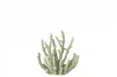 Coral Green M 15x9x16cm 60026