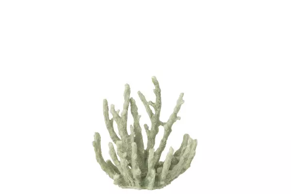 Coral Green M 15x9x16cm 60026