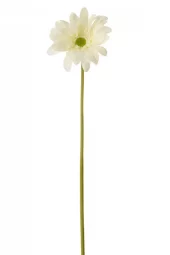 Gerbera White 12xh65cm 63790