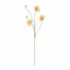 Poppey Natur 28x110cm 82072833