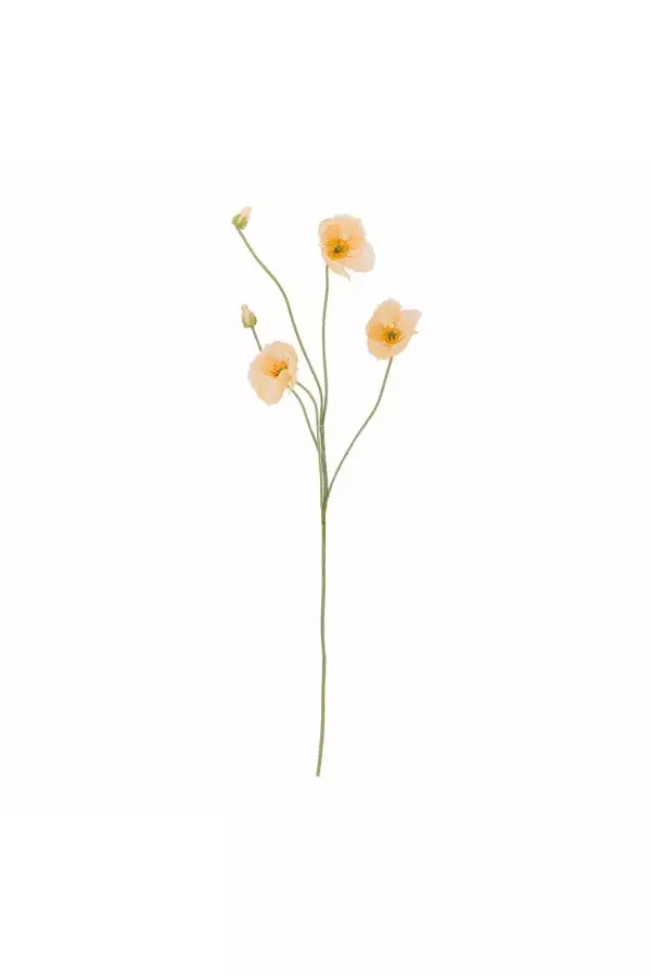 Poppey Natur 28x110cm 82072833