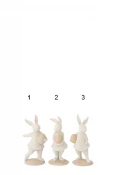 gallery-9143-for-919727