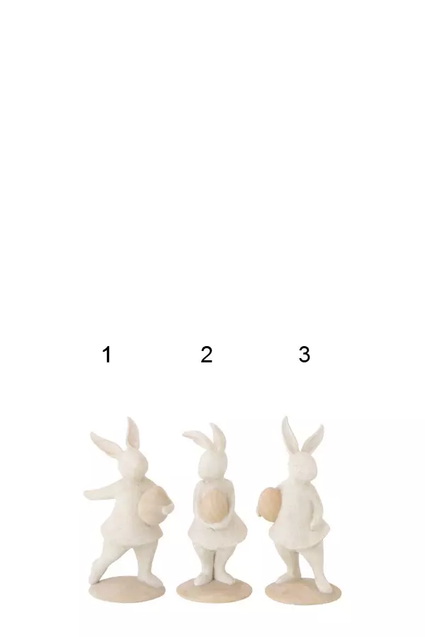 gallery-9143-for-919727