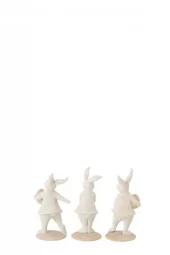 gallery-9142-for-919727